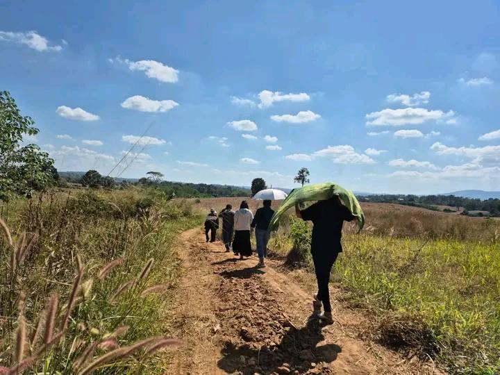 ที่ดิน เปล่า 23 ไร่ หลังอำเภอวังน้ำเขียว บ้านน้ำซับ