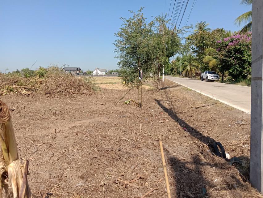 ที่ดิน 100 ตรว. บ่อเงินซอย 8 ต.บ่อเงิน อ.ลาดหลุมแก้ว จ.ปทุมธานี 5