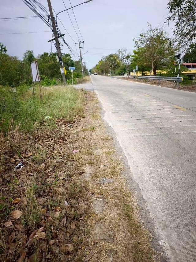 ขายด่วนที่ดิน 156 ตารางวา ติดถนนสาธารณะ แปลงมุม คลองหกตะวันตก 69 คลองหลวง ปทุมธานี 3