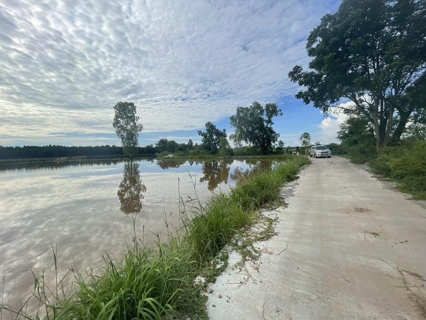 ขายที่นาพนมสารคาม 4 ไร่ หลังตลาดพนม ใกล้ถนนเส้น 3444 – 850 เมตร ใกล้ถนนเส้น 3481 – 1 กม. จ.ฉะเชิงเทรา 3