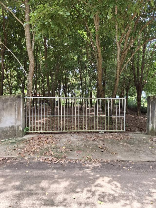 ขายที่ดินพร้อมบ้านพัก 8