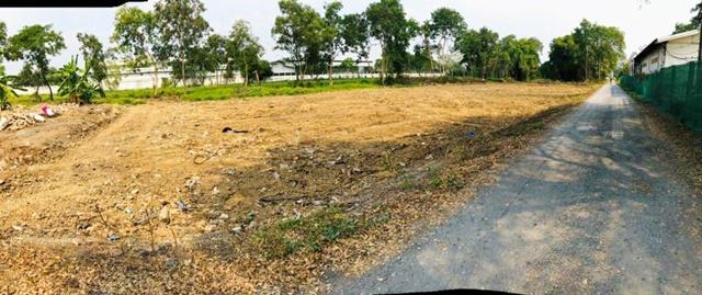 แม็คโคร ชัยพฤกษ์ 1.6 กม.ให้เช่าที่ดิน 2 ไร่ (800 ตร.วา.) ถนนชัยพฤกษ์ ทำเลศักยภาพสูง เดอะคริสตัล ชัยพฤกษ์ 1.9 กม. หน้ากว้ 2