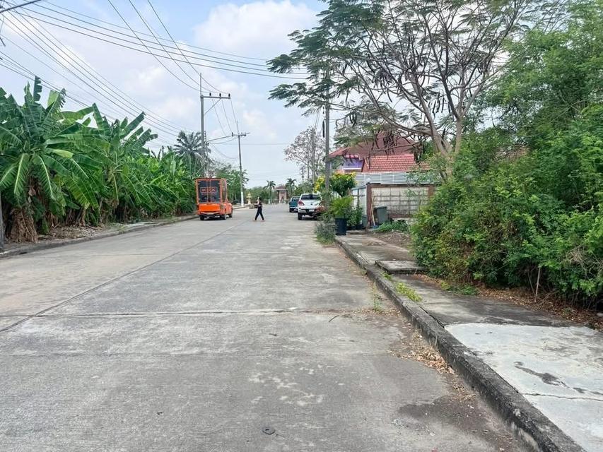 ขายด่วนที่ดิน 116 ตารางวา ติดถนนคอนกรีตโครงการ เลคไซด์วิล คลอง10 ลำลูกกา จ.ปทุมธานี 3