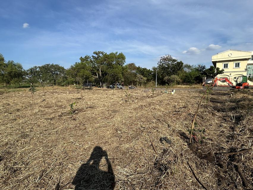 ขายที่ดินแปลงสวย วิจิตราธานี บางนา–ตราด  เนื้อที่ 230 ตร.ว ต่ำกว่าราคาประเมิน คุ้มค่ามาก 3