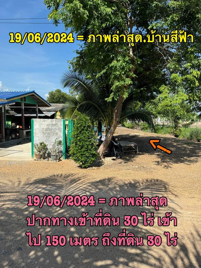 ขายที่ดินเปล่า 30 ไร่ นครนายก 2