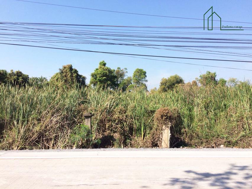 ที่ดิน 2 แปลง 7 ไร่ 1งาน 43 ตร.วา รังสิตคลองหก ถนนคลองตะวันตก 21 ปทุมธานี ใกล้ ม.เทคโนโลยีราชมงคลธัญบุรี 5