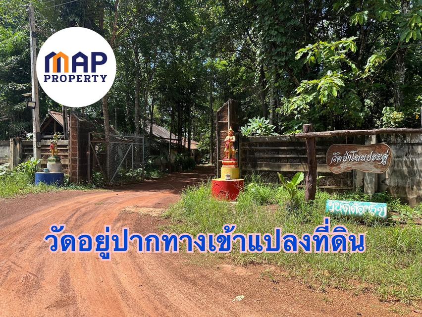 เปลี่ยนเงินฝากเป็นที่ดิน! แปลงสวย แปลงใหญ่ ใกล้ชิดธรรมชาติ ยิ่งเก็บยิ่งเพิ่มมูลค่า 5