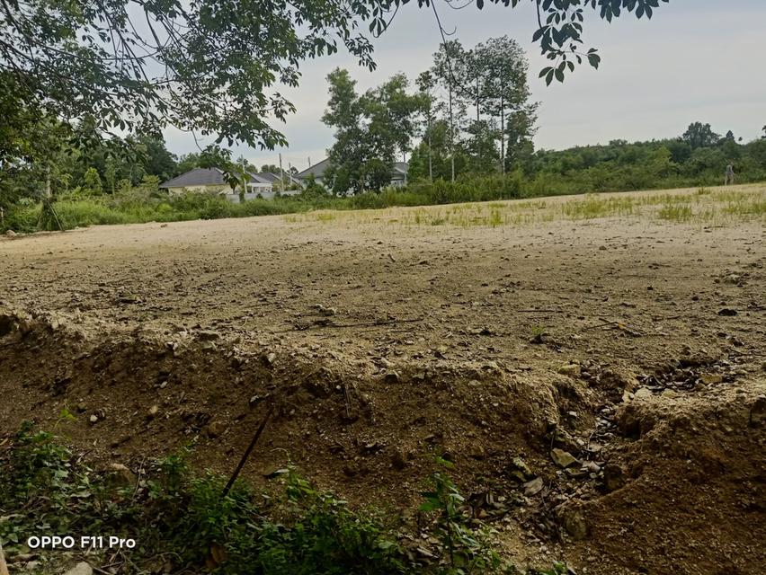 ขายที่ดินติดคลอง 7