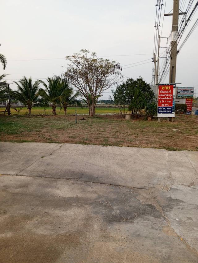 ที่ดินแปลงสวยติดถนนใกล้วัดเพลงปากท่อ 2
