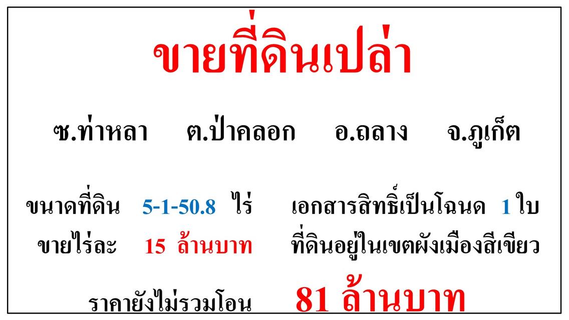 ขายที่ดินเปล่า ขนาด 5-1-50.8 ไร่  ซ.ท่าหลา  ต.ป่าคลอก  อ.ถลาง  ภูเก็ต 1