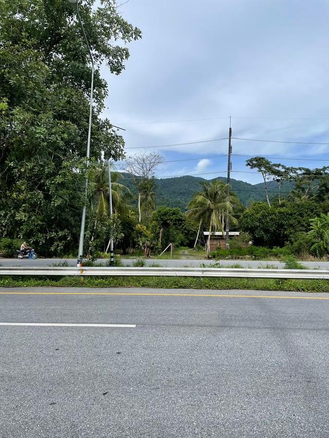 ที่ดิน 8.5 ไร่ ริมถนนสุขุมวิท ต.คลองนารายณ์ อ.เมือง จ.จันทบุรี 9