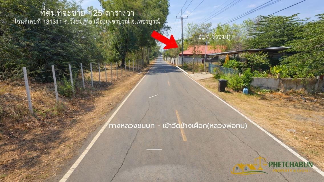 ที่ดินเงิน125 ตารางวา ติด อบต.วังชมภู อ.เมือง จ.เพชรบูรณ์ 3