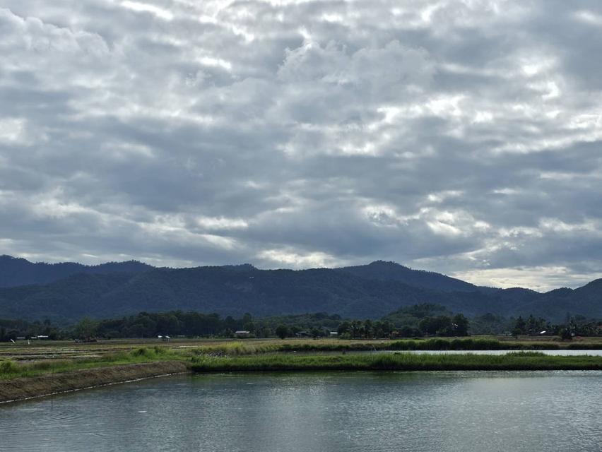 ขายที่ดินเปล่า ทำเลทอง วิวภูเขาติดคลองชลประทาน อ.พาน จ.เชียงราย 2