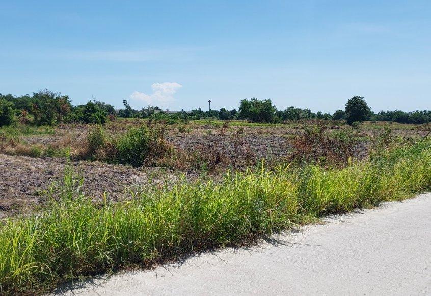 ขายที่ดินมาบโป่ง 6 ไร่ ติดถนนคอนกรีต ใกล้ถ.พานทอง-บ้านบึง(3023)-3กม. อ.พานทอง ชลบุรี 7
