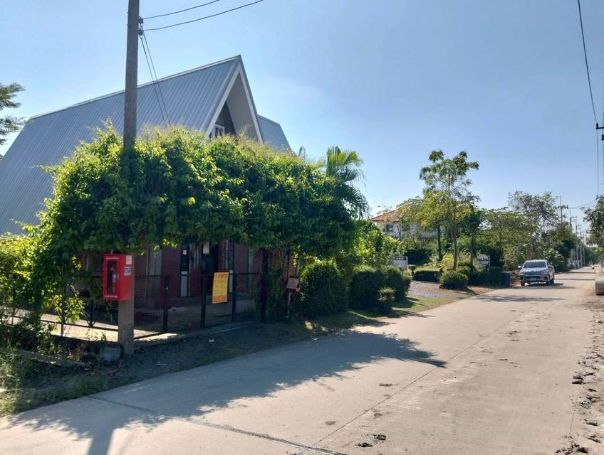 ขายบ้านชั้นเดียวพร้อมกิจการร้านกาแฟ ซอยเทศบาล 14(ซอยแดนทอง) สามโคก ปทุมธานี 3