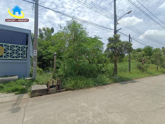 ขายที่ดิน 2 ไร่ ซอยนิลยาธร ถนนประชาพัฒนา แขวงทับยาว เขตลาดกระบัง 2
