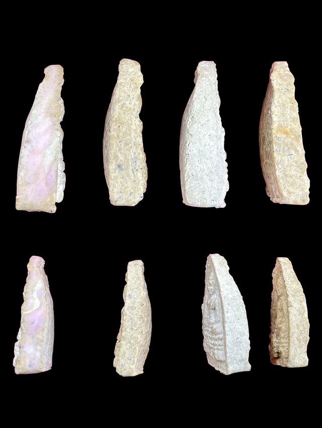 พระกลีบบัวเล็ก หลวงปู่โต๊ะ วัดพระดู่ฉิมพลี ปี21 เนื้อเกสร