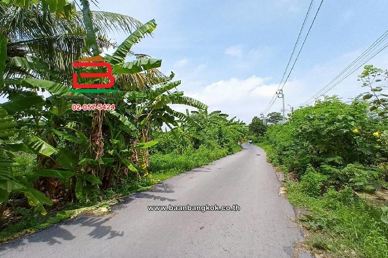 ที่ดินเปล่า ไมตรีจิต 10 แยก 4 เนื้อที่ 41-0-52 ไร่ ใกล้โรงพยาบาลรัตนประชารักษ์ แขวงสามวาตะวันออก เขตคลองสามวา กรุงเทพมหานคร 9