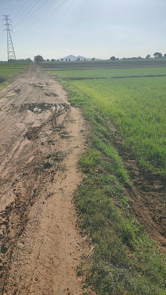 ที่ดินติดอุตสาหกรรมทำเลเหมาะกับการลงทุน 8