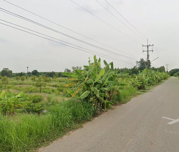 ขายที่ดินพร้อมสวนทุเรียนเนื้อที่ 2 ไร่ ติดถนน2ด้าน ใกล้นิคมเกตเวย์-11กม. อ.แปลงยาว ฉะเชิงเทรา 6