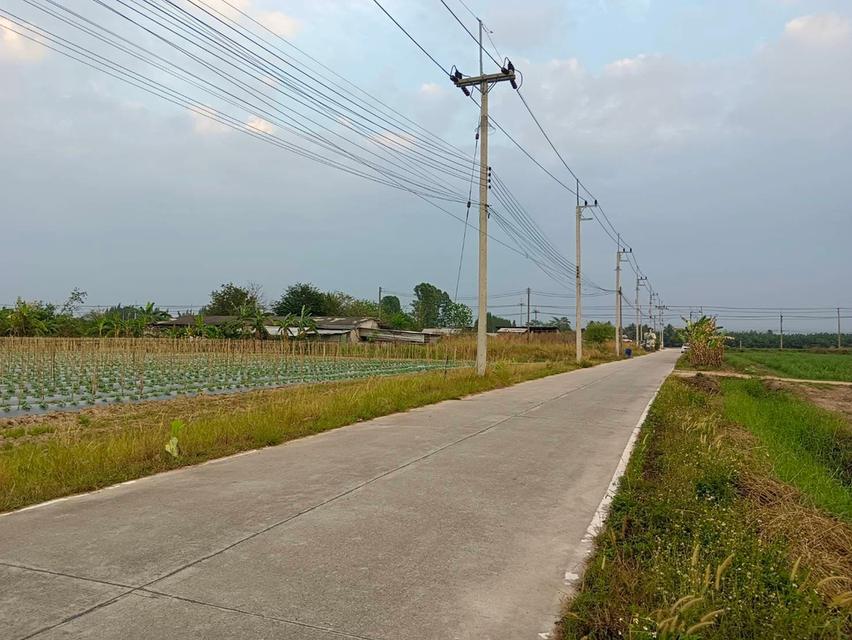 ขายที่ดินหนองบอนแดง 5 ไร่ ซอยทุ่งโปร่ง4/2 ใกล้ถนนวิฑูรดำริ-2กม. อ.บ้านบึง ชลบุรี