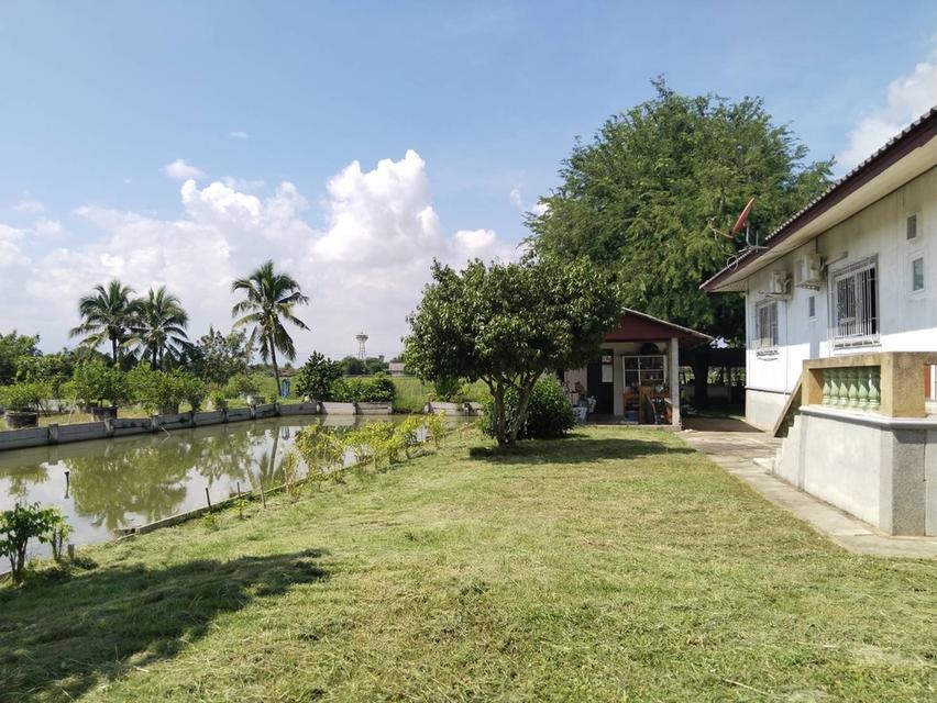 🏡ขายที่ดินพร้อมบ้านสวน พร้อมเข้าอยู่ 👩‍🌾👨‍🌾  📍ตำบล สง่าบ้าน อำเภอดอยสะเก็ด จังหวัดเชียงใหม่ 8