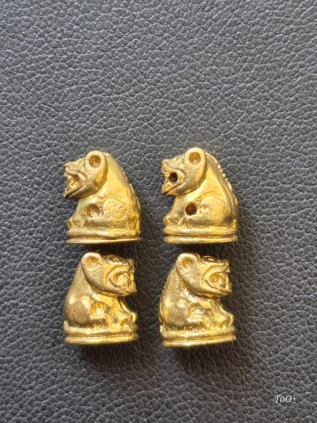 เสือจิ๋ว วัดปริวาสราชสงคราม