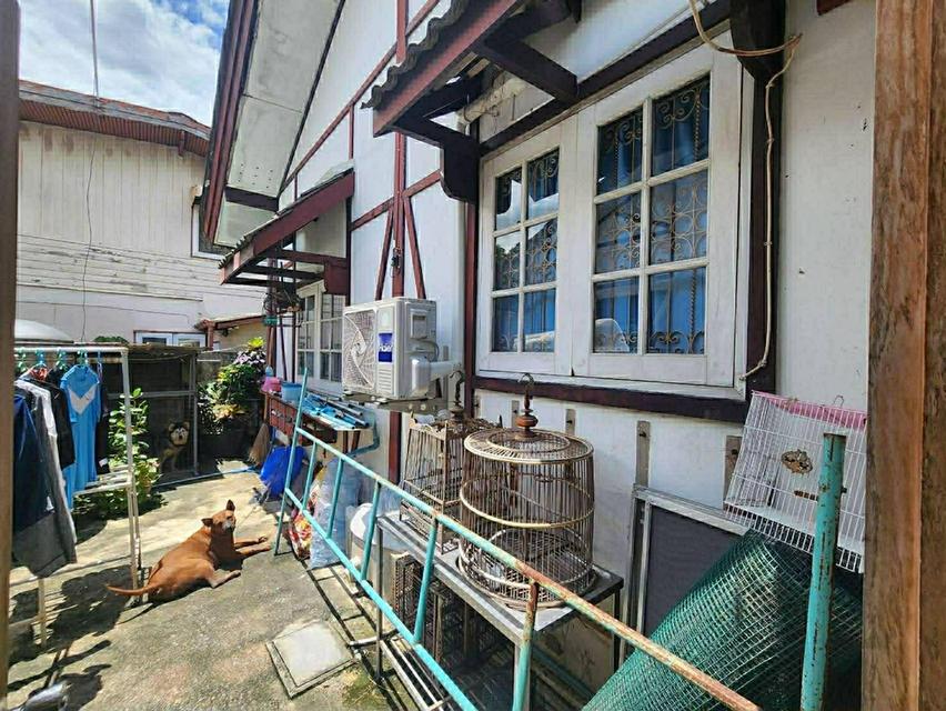 🏡 บ้านเดี่ยวทำเลสงบ ความเป็นส่วนตัวสูง บนพื้นที่กว้าง 71 ตร.วา  3 ห้องนอน 2 ห้องน้ำ 📍 ซอยพหลโยธิน 64 (หลัง รพ.บี.แคร์) | หมู่บ้านแข็งขัน 3 (งดงาม 3) 11