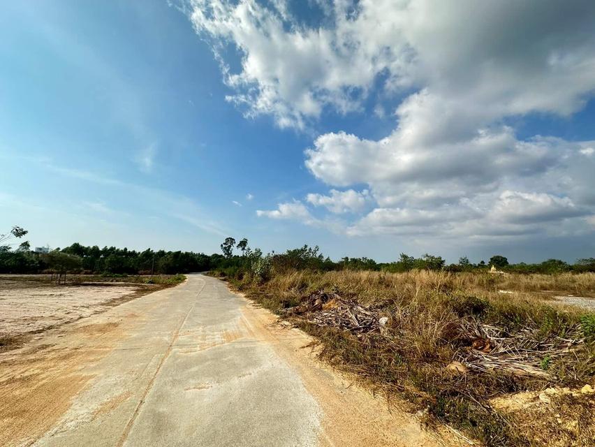 ขายที่ดิน 30 ไร่ ผังสีเหลือง ต.ห้วยใหญ่ อ.บางละมุง จ.ชลบุรี 3