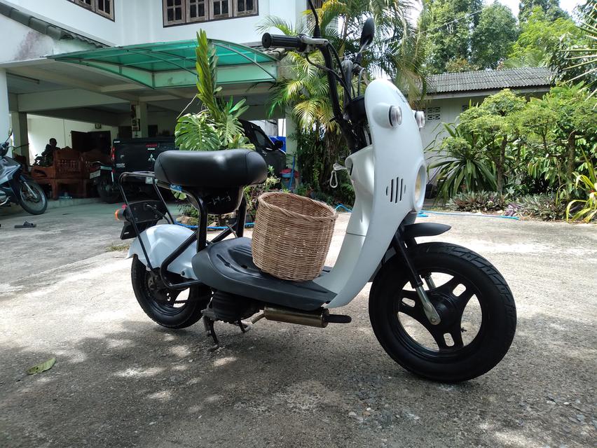 รถป๊อป Suzuki Choinori 50 cc.4จังหวะ