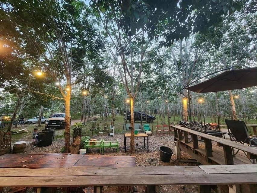 ที่ดินพร้อมบ้านพัก สวนยางพารา 8
