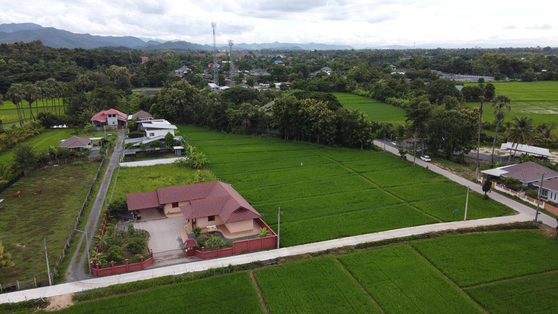 ขายที่ดิน 211 ตร.ว. ถมแล้ว วิวดอยสวย ติดถนนคอนกรีต พร้อมน้ำ-ไฟ-เน็ต 6