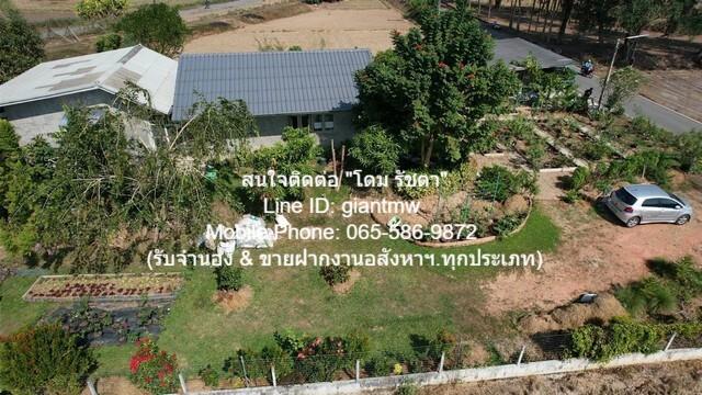 ขาย SALE บ้าน บ้านสวนสไตล์รีสอร์ต ต.ช่อแล อ.แม่แตง จ.เชียงใหม่ 4 นอน 69 SQ.WA 0 งาน 1 ไร่ 6500000 บาท ใกล้ เขื่อนแม่งัดส 2