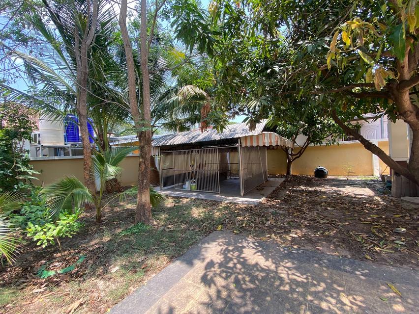🎊 ให้เช่าบ้านหลังใหญ่ ใจกลางเมืองอุดรธานี ใกล้ CJ More เพียง 300 เมตร (House For Rent) รูปที่ 15