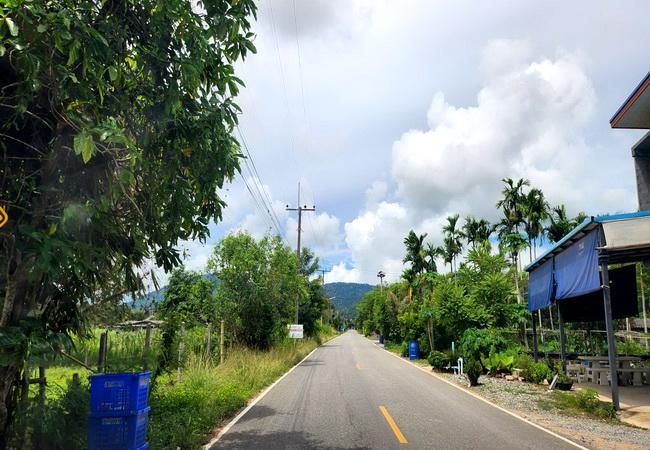 ขายที่ดิน เขายายดา ทางหลวงชนบท ถนนสุขุมวิท ตำบลตะพง อำเภอเมือง ระยอง 2