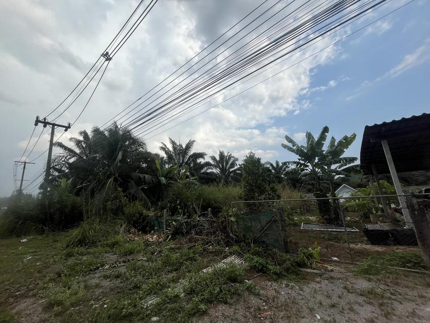 ขายที่ดิน 4 ห้อง land 8