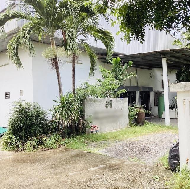 ขาย โรงงานผลิตเครื่องสำอาง มี ใบอนุญาตผลิตเครื่องสำอาง และ ใบอนุญาต รง.4 (Active) พร้อมเครื่องจักรการผลิต 3 ไร่ บ้านโพธิ์ ฉะเชิงเทรา (EEC) 2