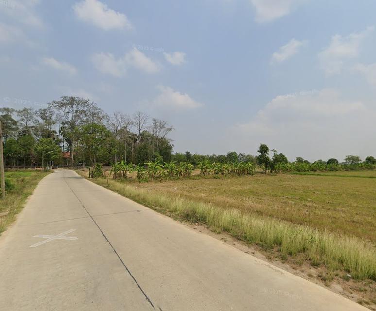 ขายที่ดินไร่หลักทอง 6 ไร่ ติดถนนคอนกรีตซอยอบต.ไร่หลักทอง ใกล้ถนนเส้นศุขประยูร315-3กม. อ.พนัสนิคม ชลบุรี 6