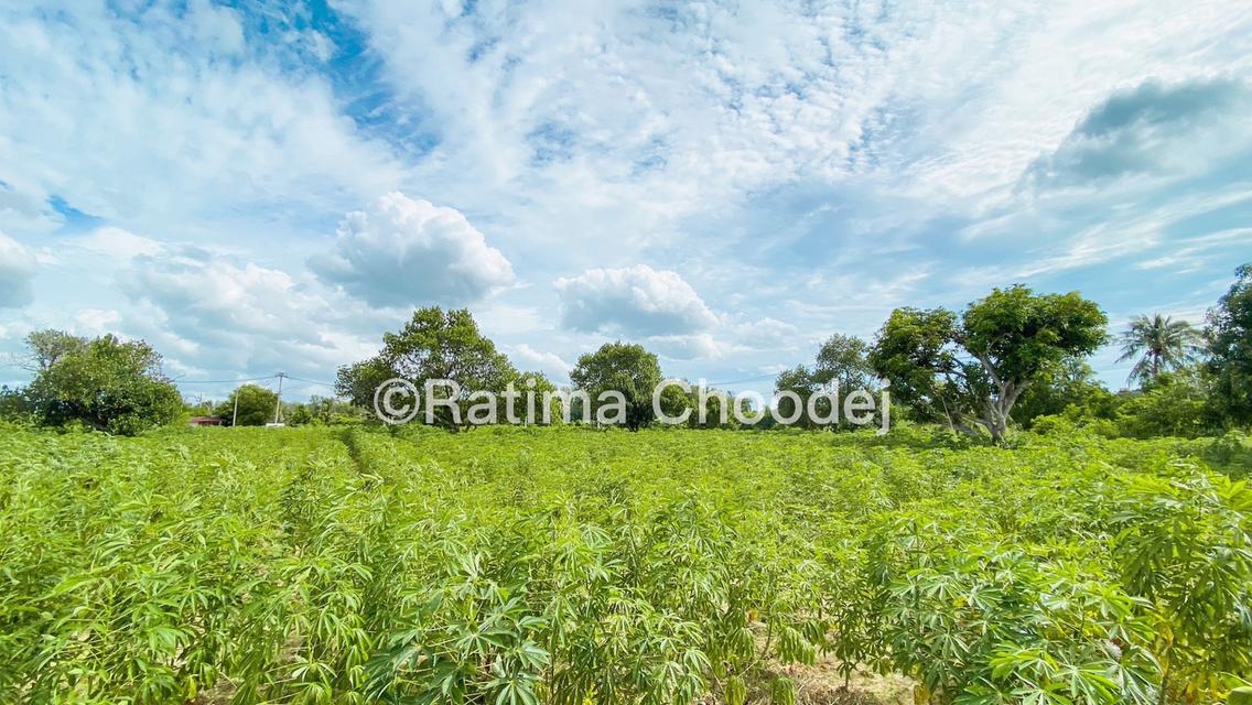 ที่ดินใกล้โครงการจุดพักรถย่านศรีราชา 5