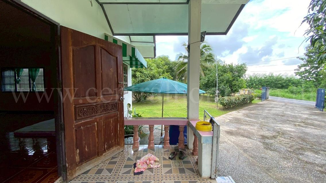 บ้านเดี่ยว ชั้นเดียว พร้อมที่ดิน 2-3-97 ไร่ วังกระโจม - นครนายก 3