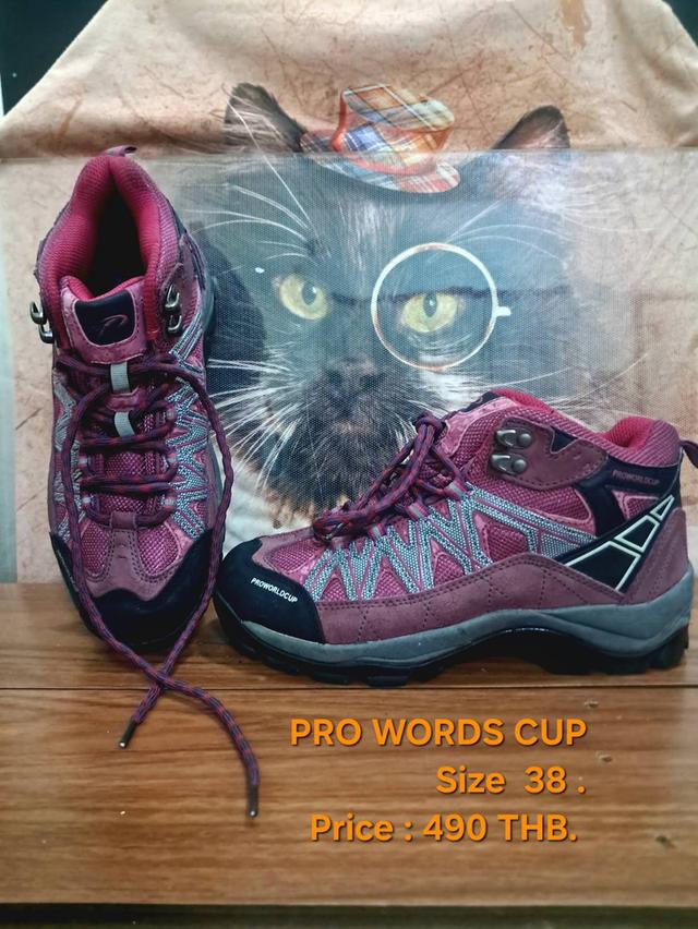 PRO WORDS CUP 