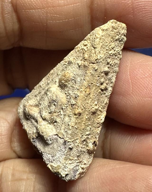 พระผงมีคราบกรุ ฟองเต้าหู้ ไม่ทราบที่ 4