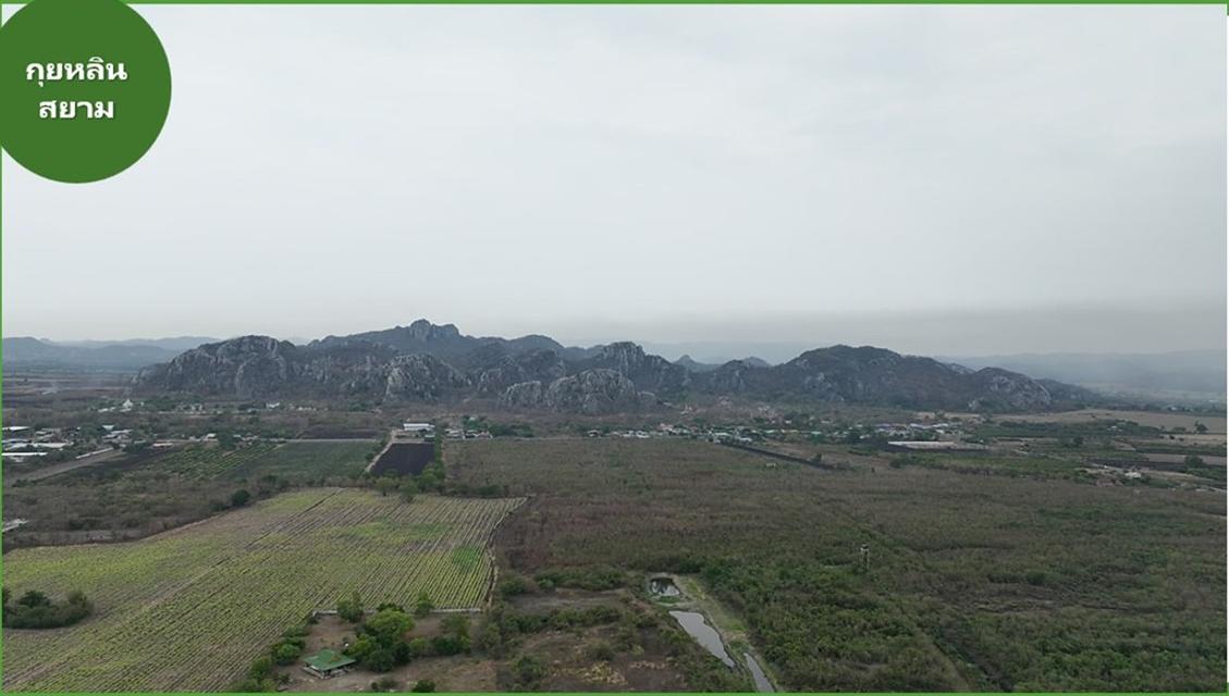 ขายที่ดินพร้อมปลูกสร้าง