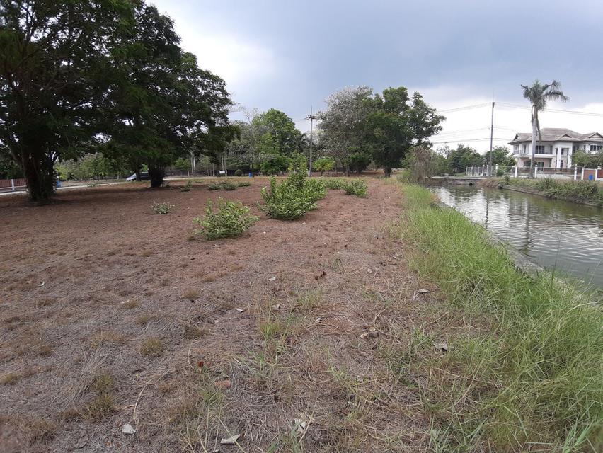 ⛳ขายที่ดินเปล่าเหมาะสำหรับปลูกสร้างบ้าน ในโครงการหมู่บ้านเดอะลากูน1 อำเภอสามโคก จังหวัดปทุมธานี ติดละเลสาป ⛳ 8