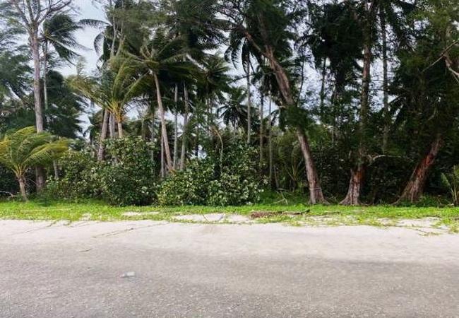 ขายที่ดิน 56-2-41 ไร่ ติดหาดสนงาม ตำบลไม้รูด อำเภอคลองใหญ่ ตราด 3