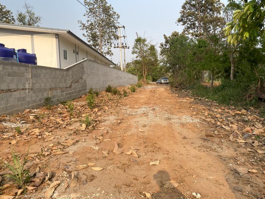 ขายที่ดิน 37 ไร่ ติดทางหลวงสาย เลย เพชรบูรณ์ 19