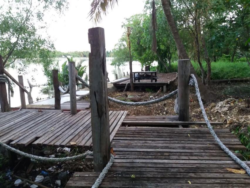 ที่ดินสวยติดแม่น้ำแม่กลอง 15