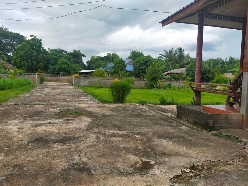 ขายบ้านพร้อมที่ดิน วิวสวย บรรยากาศดี 🌿 🏡 บ้าน 2 ชั้น บนไม้ ล่างปูน 📐 เนื้อที่ 1 ไร่ 1 งาน 💰 ราคา 3.49 ล้านบาท (ต่อรองได้) 📍 บ้านเหมืองลึก ต.โป่งแ 3