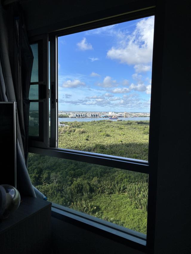 คอนโด เดอะ ทรัสต์ เอราวัณ 1bed 29 ตรม ชั้น 20 ห้องมุม วิวแม่น้ำ ป่าจาก 2.4M 6