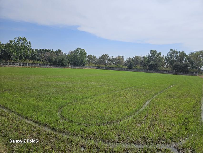 ขายที่ดินสำหรับปลูกบ้านที่ตำบลบ้านแป้งใกล้พระราชวังบางปะอินจังหวัดพระนครศรีอยุธยา 4